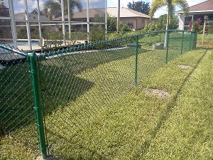 зеленый забор из стеки-рабицы